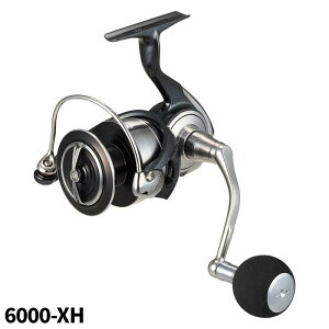 ダイワ スピニングリール セルテート SW 6000-XH 24年モデル スピニングリール