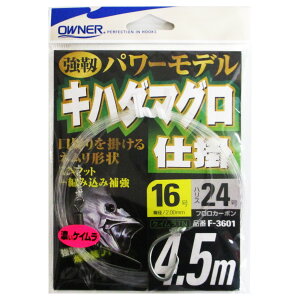 yŋziwP10{Iő1PIzI[i[ Ln_}Od| 4.5m j16-nX24