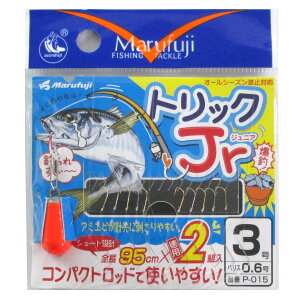 ܂ӂ gbNJr P-015 j3-nX0.6y[ցz