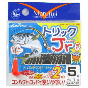 ܂ӂ gbNJr P-015 j5-nX1y[ցz