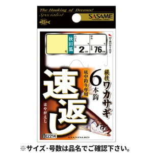 ߐj Ԃ6{b j1.5-nX0.3 CZ214y[ցz