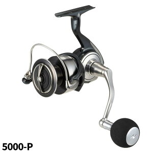 _C XsjO[ Ze[g SW 5000-P 24Nf XsjO[