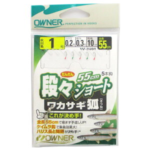 yŋziwP10{Iő1PIzI[i[ iXV[g JTM W-3401 j1-nX0.2y[ցz