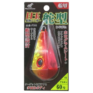 ڋʏWVJ[ ǌ^ P581 60 #3(AJL)