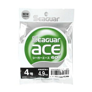 Nn@ V[K[G[X 60m 4 NAy[ցz