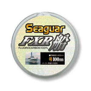 Nn@ V[K[FXRD100m Pi 12D0