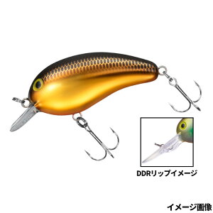 _C A[ s[ibc DDR NLy[ցz