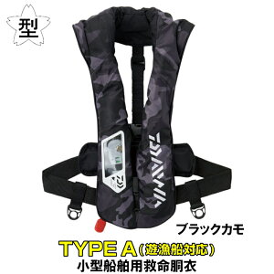 _C CtWPbg DF-2021 EHbVuCtWPbg(|^CvE蓮c) ubNJ