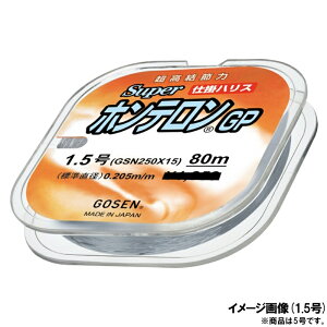 S[Z X[p[ze GP 80m 5 ~Xg [GSN250X50]y[ցz