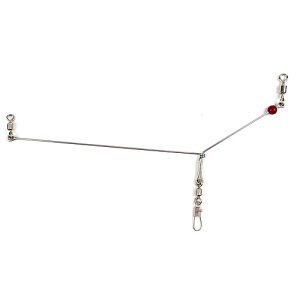 A}mދ ړoXʕtV NoD305 KH^