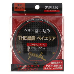 H[ t w`E݃C THE xCGA 1.75 IW