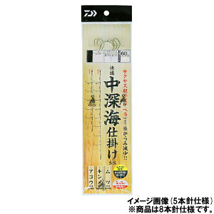 _C K[Cd| SS 8{ 16-8-12y[ցz