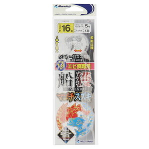 ܂ӂ F-058 Dl}S`XYL 16y[ցz