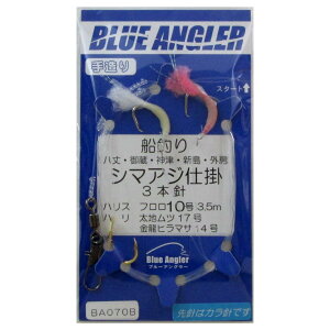 yŋziwP10{Iő1PIzPCX^C V}AWd| 3{j BA070B j17/j14-nX10 BJ[y[ցz