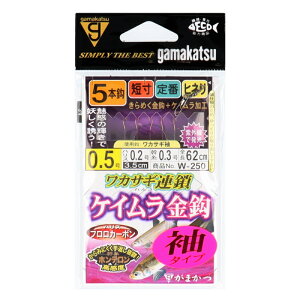 ܂ JfBA JTMA PCb 5{d|(^Cv)W250 j0.5-nX0.2y[ցz