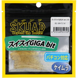 WbgfUCiLEGIT DESIGNj [ XNAh XCXCGIGA bit 2.0 01 UVC\y[ցz