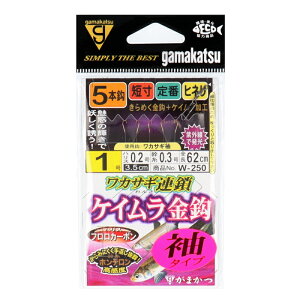 ܂ JfBA JTMA PCb 5{d|(^Cv)W250 j1-nX0.2y[ցz