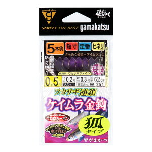 ܂ JfBA JTMA PCb 5{d|(σ^Cv)W251 j0.5-nX0.2y[ցz