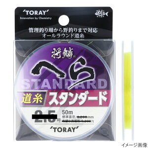  ؂ւ X^_[h 50m 0.6 CG[y[ցz