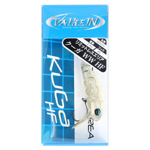 yŋziwP10{Iő1PIz@PC A[ N[K ChEH[N nCt[g C065 S[WXNAy[ցz