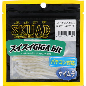 WbgfUCiLEGIT DESIGNj [ XNAh XCXCGIGA bit 2.0 08 UVp[zCgy[ցz