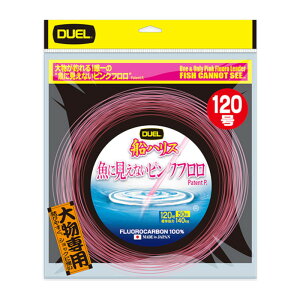 fG ɌȂsNt DnX啨 50m 120 SP XeXsN