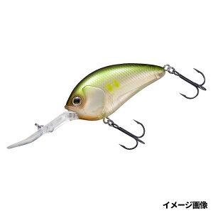 _C A[ XeB[Y NN 200 S[XgA