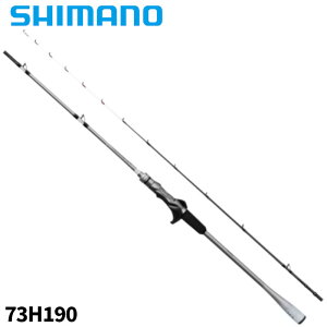 V}m D CgQ[ XR 73H190 24Nf