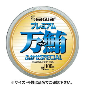 Nn@ V[K[ v~AӂXyV 24 100m