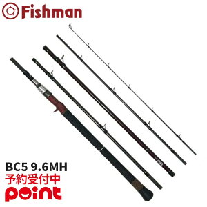 y12ח\/\tIztBbV} BC5 r[V[t@Cu 9.6MHEiƓEs