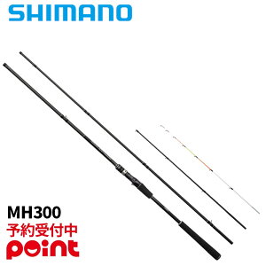 y11ח\/\tIzV}m 23 V[A xCgTO MH300 (2025Nǉf)EiƓEs