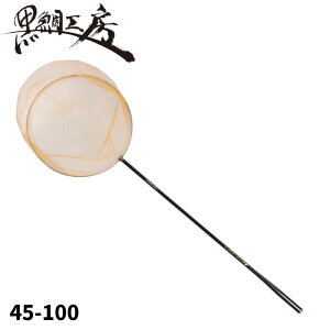 H[ JZt THEAX[g CJ_ʖ T 45-100