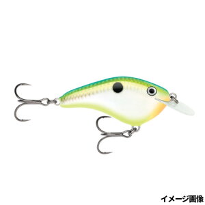 pEWp A[ OTTs K[W 7cmCTSDy䂤pPbgz