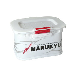 y5I3_wōő5000pIz}L[ p[GToPbg13TRIV zCg