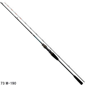 _C D CgQ[X 73 M-190ER