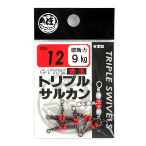 gvTJ C^Cv 12 ԋʁy䂤pPbgz