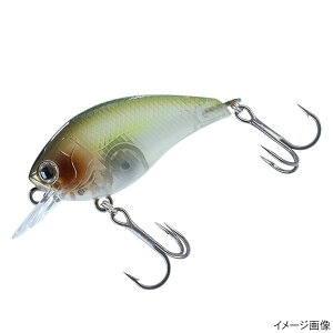 _C A[ XeB[Y STEEZXNGA100 i`S[XgVbhy䂤pPbgz