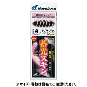 yՌI4_wōő1|CgIz~XL DTrL AWECTL bh SS300 b11|nX3y䂤pPbgz