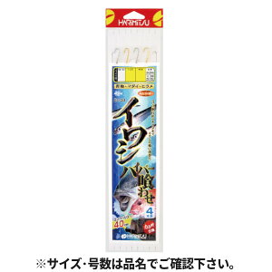 n~c D-33 CV nCp[킹 j10-nX8y䂤pPbgz