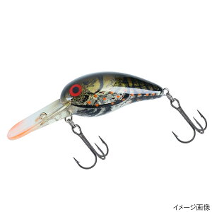 y5I3_wōő5000pIz_C A[ ^Cj[Chs[ibc t@gO[N[y䂤pPbgz