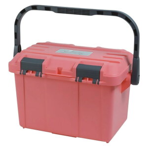 y10I3_wōő5000pIzhJbg D-4500 J[ PP s[`sN