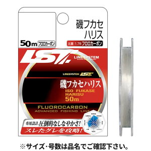 CVXe tJZ nX 50m 2 i`y䂤pPbgz