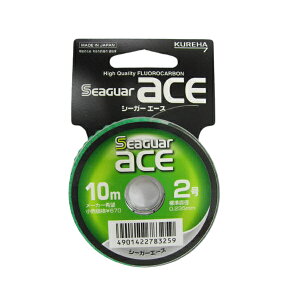 yՌI4_wōő1|CgIzNn@ V[K[G[X 10M Pi 2D0y䂤pPbgz