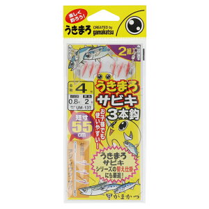 ܂ ܂TrL 3{bd| j4-nX0.8y䂤pPbgz