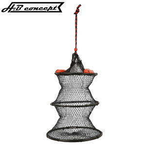 H.B RZvg z[XXJ 30cm 3i