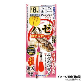 まるふじ ハゼ直感天秤セット H-080 6号【ゆうパケット】
