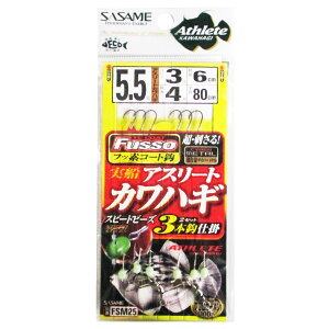 ߐj DAX[gJnM 3{b FSM25 j5.5-nX3y䂤pPbgz