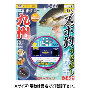 n~c C[55Y{ނCTL3{j4D5M11[5y䂤pPbgz