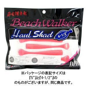 y5I3_wōő5000pIzDUO [ r[`EH[J[ nEVbh 5C` S006(ouKsNG)y䂤pPbgz