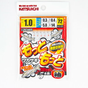 JcC` MS-5R ƂƃJTM  1.0 253465y䂤pPbgz